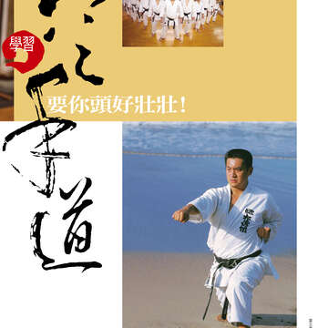 台北畫刊515期(99年12月)