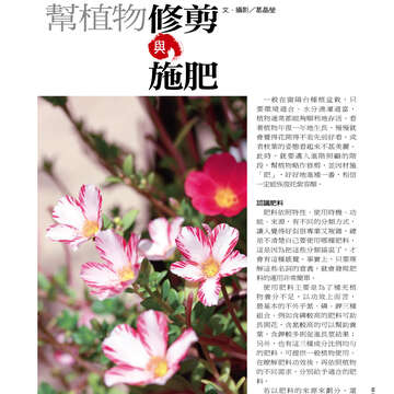 台北畫刊515期(99年12月)