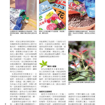 台北畫刊515期(99年12月)