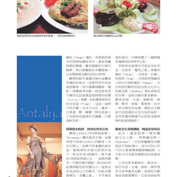 台北畫刊515期(99年12月)