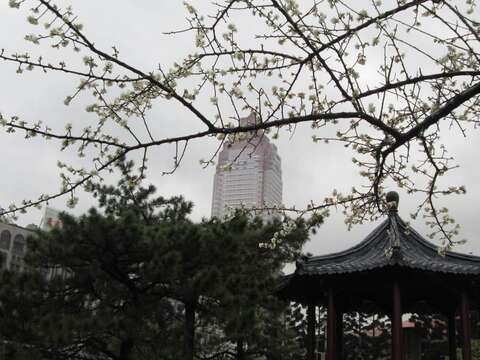 城市喧鬧角落的寧靜天地
