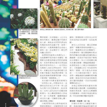 台北畫刊514期(99年11月)--花博專刊