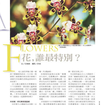 台北畫刊514期(99年11月)--花博專刊