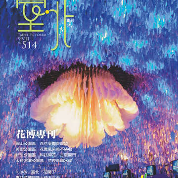台北畫刊514期(99年11月)