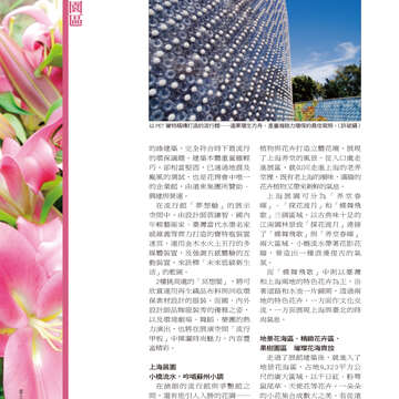 台北畫刊514期(99年11月)