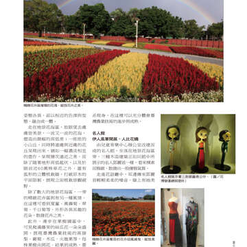 台北畫刊514期(99年11月)