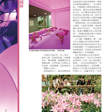 台北畫刊514期(99年11月)