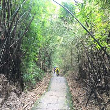 走步道賞櫻花 開運祈福迎新春