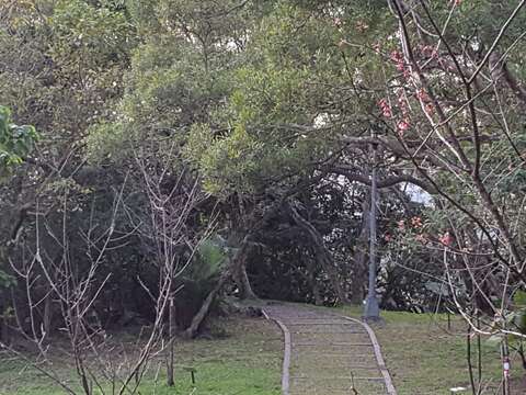 春節輕登山 北市首選140高地公園