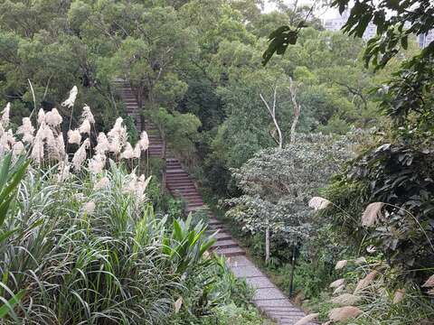 春節輕登山 北市首選140高地公園