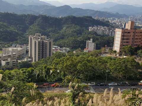 春節輕登山 北市首選140高地公園