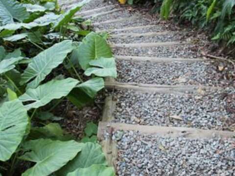 春遊選它！福州山公園看到全台北 晴空雲相伴 兩側山隨行 遠眺1O1 輕鬆走步道
