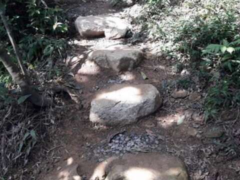 春遊選它！福州山公園看到全台北 晴空雲相伴 兩側山隨行 遠眺1O1 輕鬆走步道