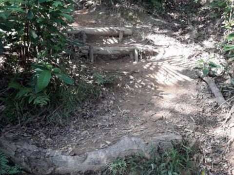 春遊選它！福州山公園看到全台北 晴空雲相伴 兩側山隨行 遠眺1O1 輕鬆走步道