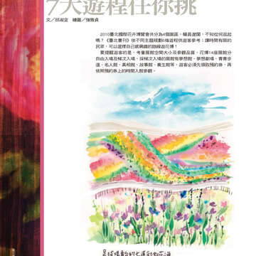 台北畫刊514期(99年11月)