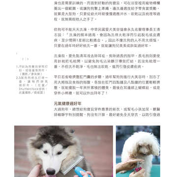 台北畫刊601期(107年2月)