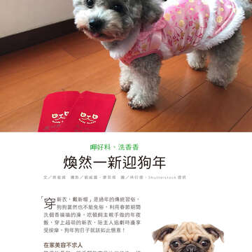 台北畫刊601期(107年2月)