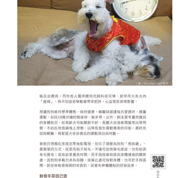 台北畫刊601期(107年2月)