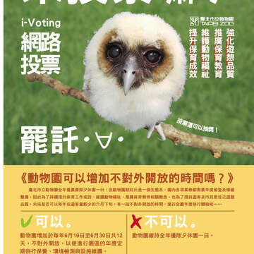 台北畫刊601期(107年2月)