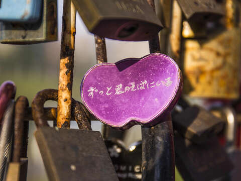 春節賞花 情人節放閃 不能錯過成美河濱花海