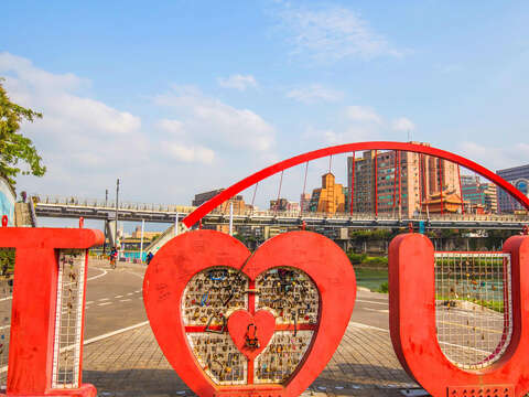 春節賞花 情人節放閃 不能錯過成美河濱花海