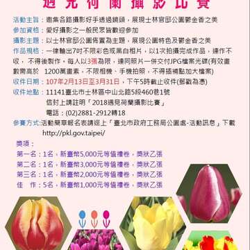 3萬金杯邀春宴 士林官邸鬱金香展要你醉 把荷蘭搬到台北 風車、木鞋襯美景 周邊美食精選優惠