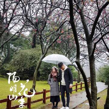 2018 양밍산 꽃축제 Yang Ming Shan Flower Festival