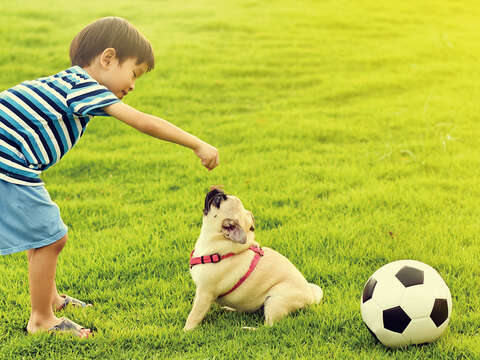 狗年出遊去！與毛小孩樂玩台北。（圖／Shutterstock提供）