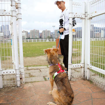 毛小孩在進入狗運動公園前先在柵門裡緩和情緒,可避免興奮失控,進入公園後就可奔跑玩遊戲。(攝影/劉威震)