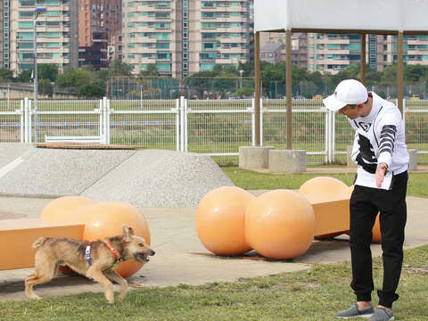 毛小孩在進入狗運動公園前先在柵門裡緩和情緒,可避免興奮失控,進入公園後就可奔跑玩遊戲。(攝影/劉威震)