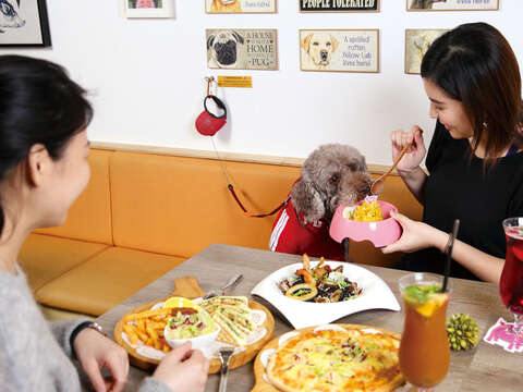 帶著狗寶貝到友善寵物餐廳一起享受美食。（攝影／劉威震）