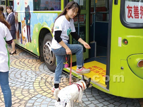 台北市友善狗狗公車可讓毛小孩不用裝籠上車乘坐。(圖/聯合知識庫提供)