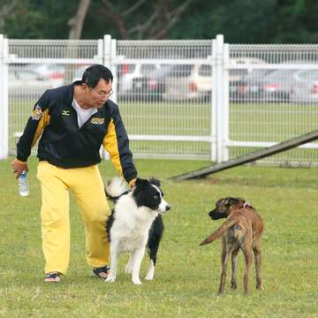 毛小孩在狗公園中玩耍需要主人在旁照應，可避免狗狗產生衝突，還可藉機訓練狗狗。（攝影／劉威震）