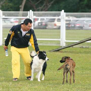 毛小孩在狗公園中玩耍需要主人在旁照應,可避免狗狗產生衝突,還可藉機訓練狗狗。(攝影/劉威震)