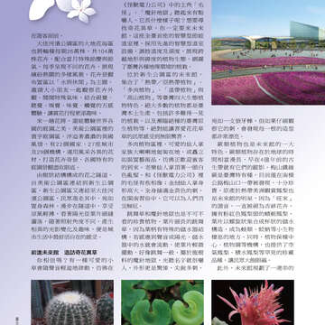 臺北畫刊513期(99年10月)