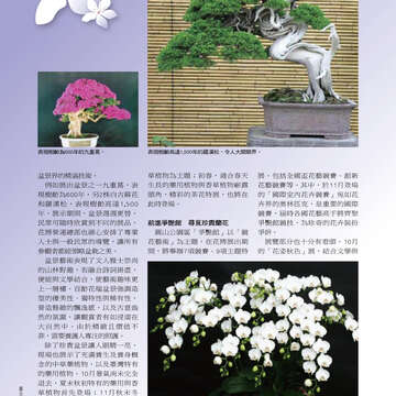 臺北畫刊513期(99年10月)