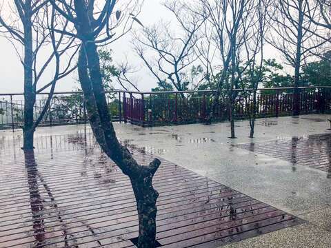碧山露營場新落成 另類體驗迎新春