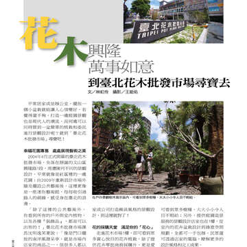 臺北畫刊513期(99年10月)