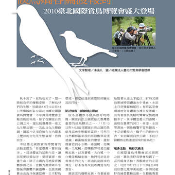 臺北畫刊513期(99年10月)