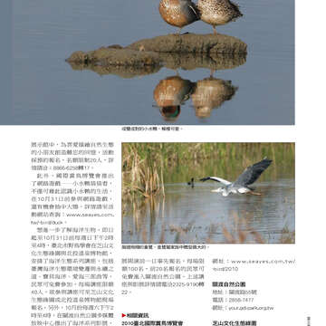 臺北畫刊513期(99年10月)