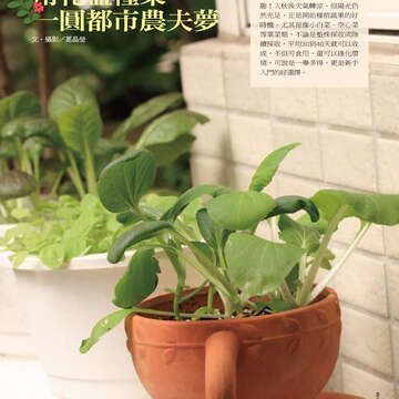 臺北畫刊513期(99年10月)