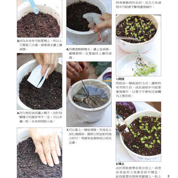 臺北畫刊513期(99年10月)