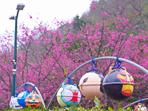 2018 Yangmingshan Flower Season Kicks off