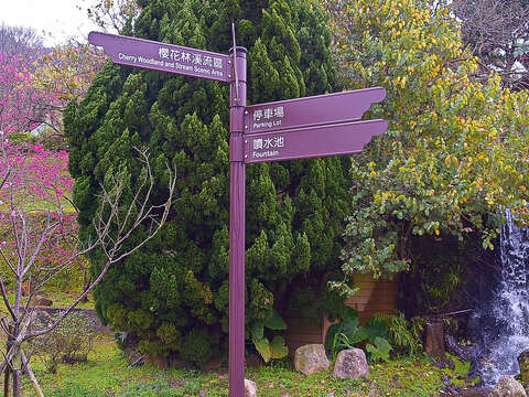 2018 Yangmingshan Flower Season Kicks off