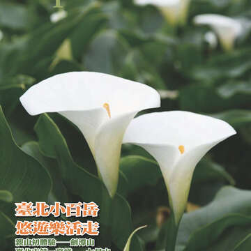 482cover