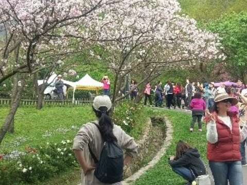 陽明山花開燦爛 親子彩繪留下美好回憶