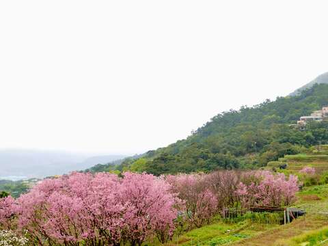 踏尋山城的水路記憶 北投泉源十八份水圳
