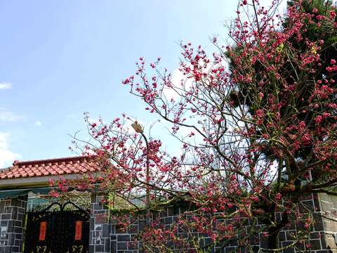 踏尋山城的水路記憶 北投泉源十八份水圳