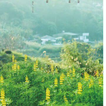 台北畫刊602期(107年3月)