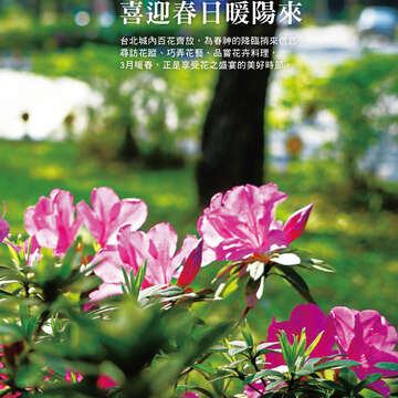 台北畫刊602期(107年3月)